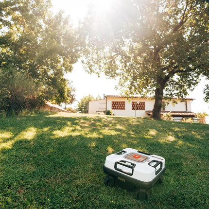 Collection image for: Robot Lawn Mowers