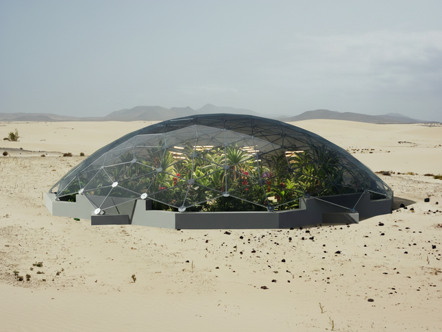 CNC Spaceship - 99 Ft / 30 meter diameter stainless geodesic roof cover