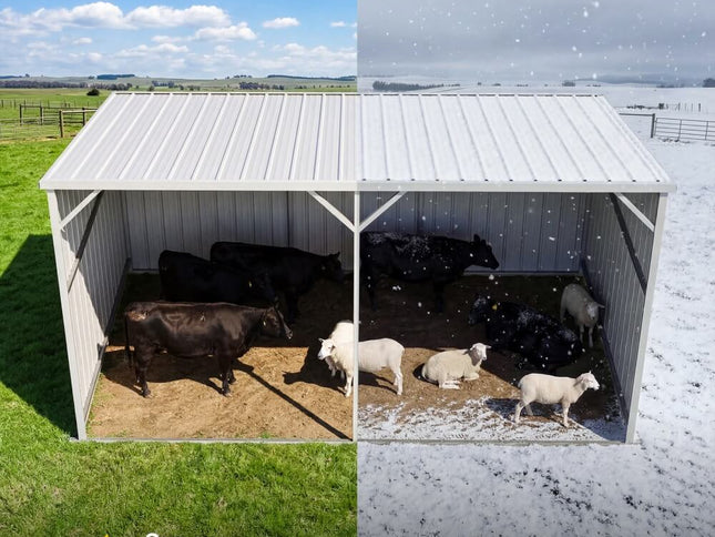 Chery Industrial 20x12 ft Steel Livestock Run-In Shed