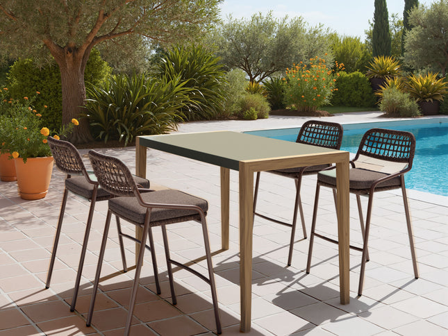 Rio Barstool (Set of 2) Brown