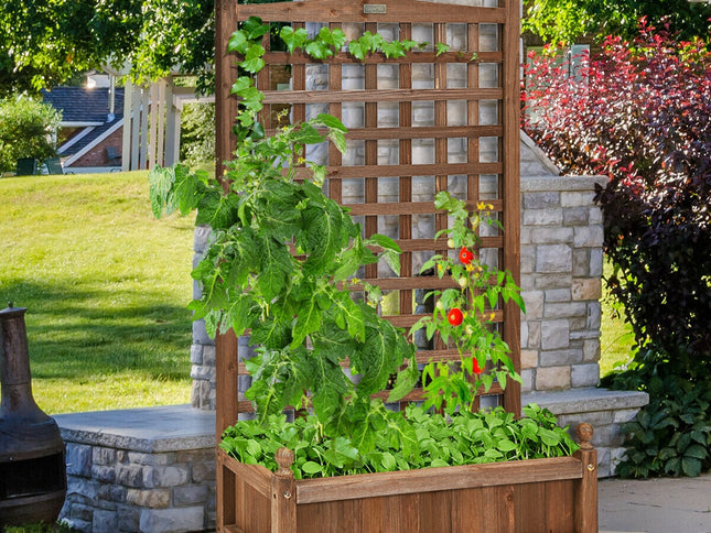 Solid Free Standing Wood Planter Box with Trellis for Garden