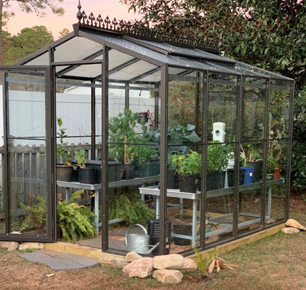 Palmetto Greenhouse 8' x 10'