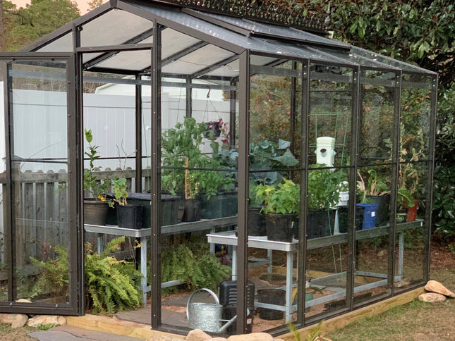 Palmetto Greenhouse 8' x 10'