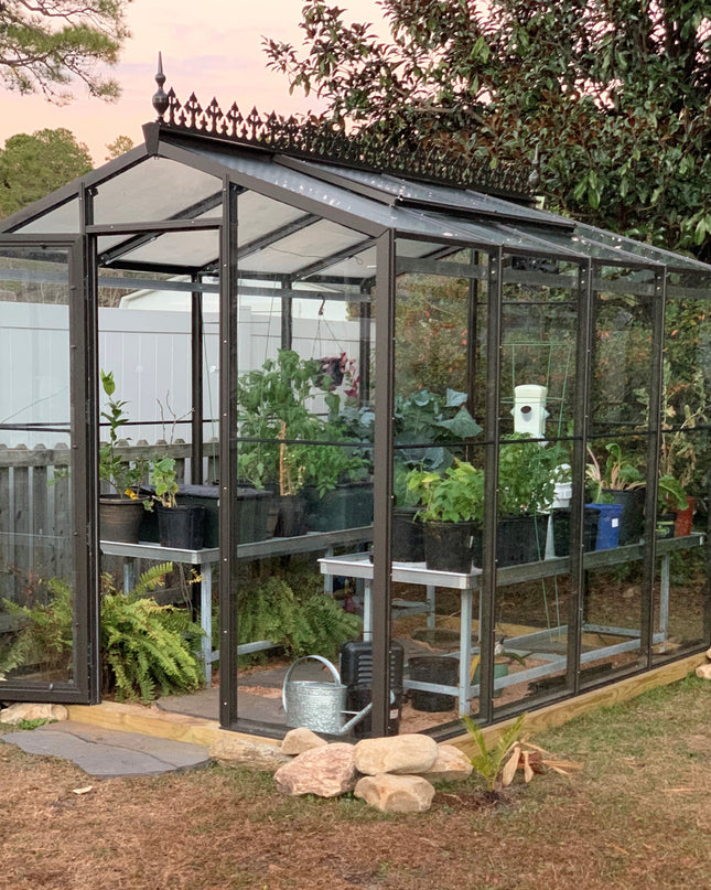 Palmetto Greenhouse 8' x 10'
