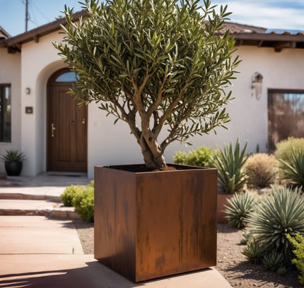Corten Steel Cube Planters