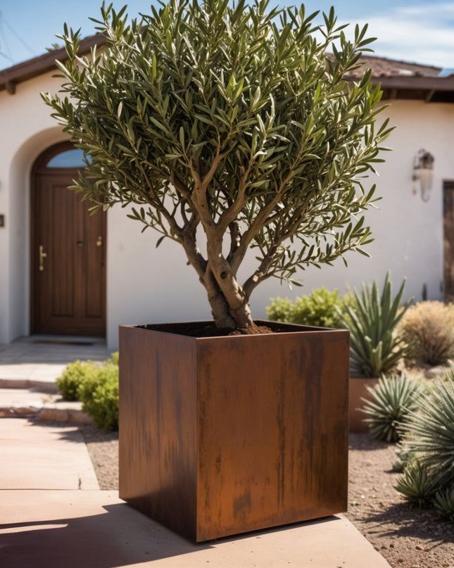 Corten Steel Cube Planters