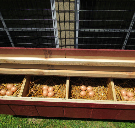 EZ-Fit Chicken Coop, 3x4, 4x6, or 5x8