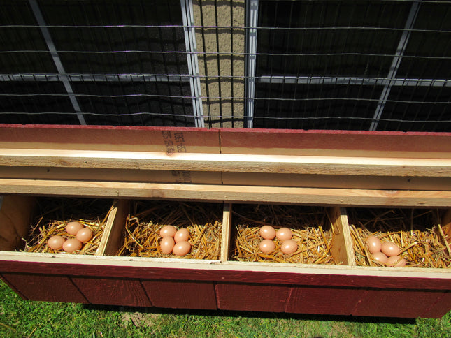 EZ-Fit Chicken Coop, 3x4, 4x6, or 5x8