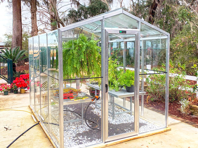 Palmetto Greenhouse 8' x 10'
