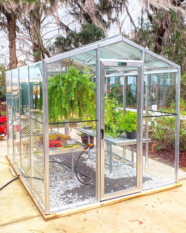 Palmetto Greenhouse 8' x 10'