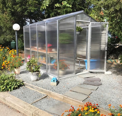 Palmetto Greenhouse 8' x 10'