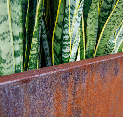 Corten Steel Edge Planters