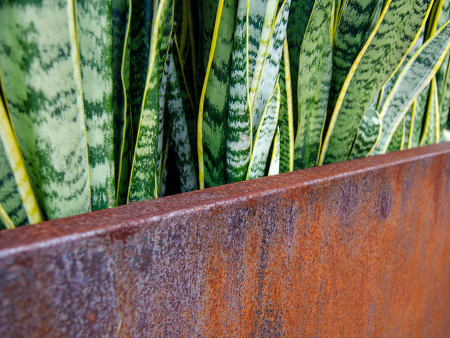 Corten Steel Edge Planters