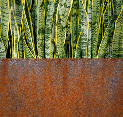 Corten Steel Edge Planters