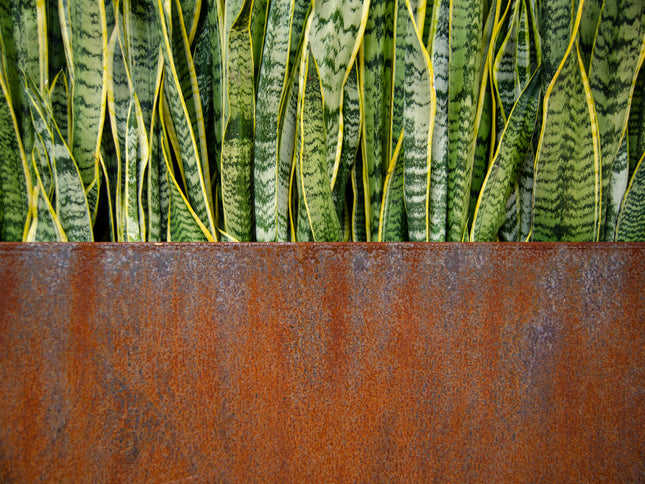 Corten Steel Edge Planters