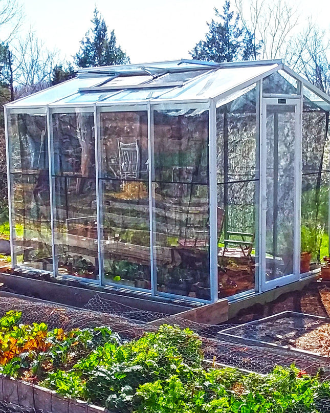 Palmetto Greenhouse 8' x 10'