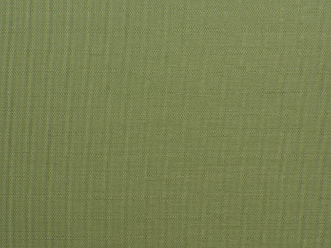 Rio Dining Chair (Set of 2) Green