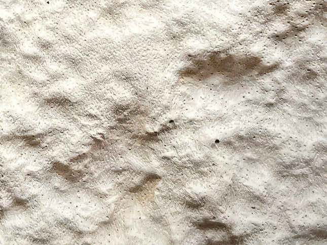 Concrete Propane Tank Enclosure - Round