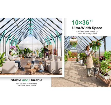 10x36 Walk-In Polycarbonate Greenhouse with Adjustable Roof Vents