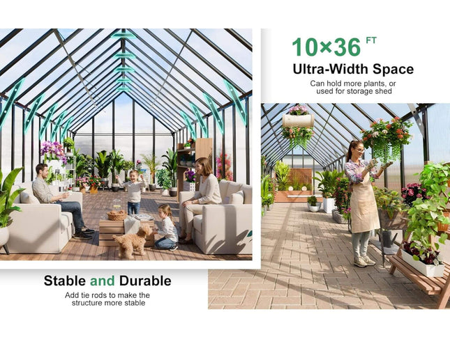 10x36 Walk-In Polycarbonate Greenhouse with Adjustable Roof Vents