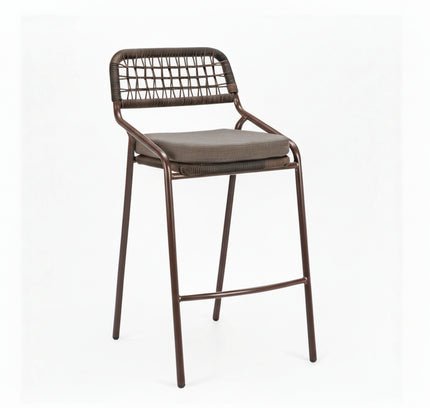 Rio Barstool (Set of 2) Brown