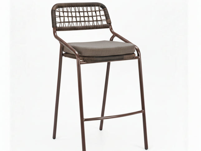 Rio Barstool (Set of 2) Brown