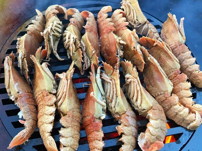 Arteflame 10" Carbon Steel Grill Grate for 20" Grills