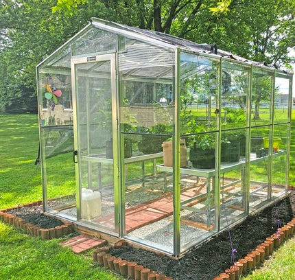 Palmetto Greenhouse 8' x 10'