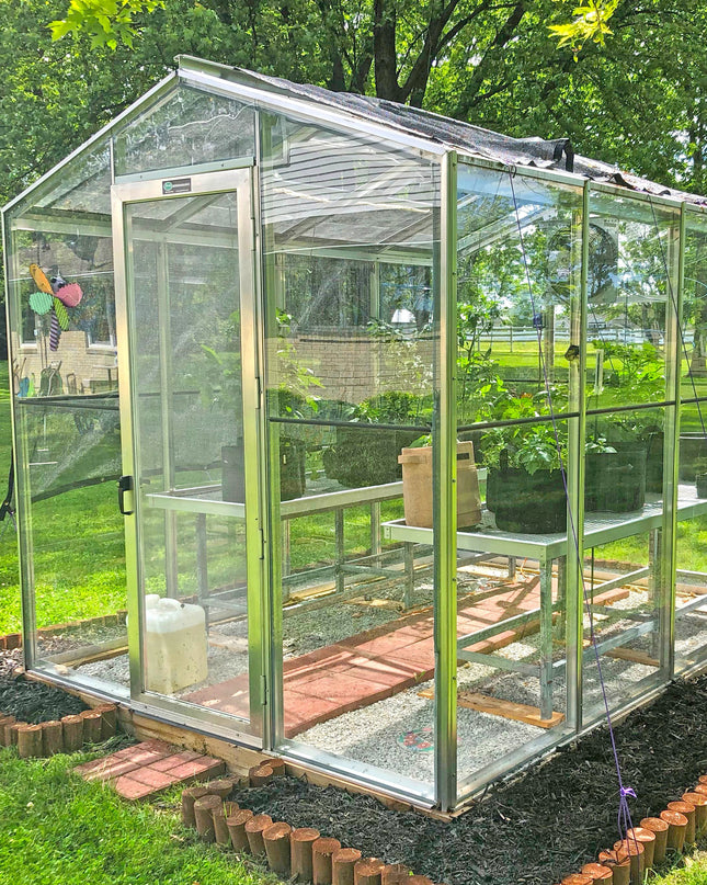 Palmetto Greenhouse 8' x 10'