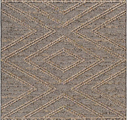 Beige Charcoal Areli Outdoor Area Rug