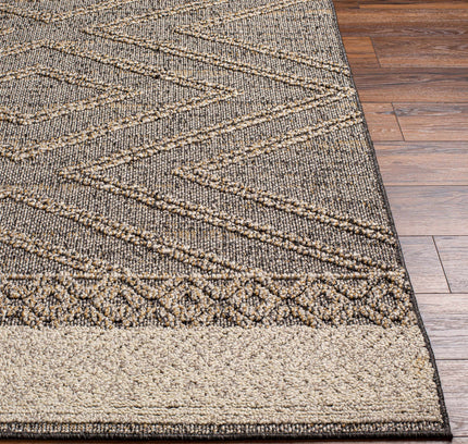 Beige Charcoal Areli Outdoor Area Rug